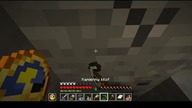 There is a lot of water in the cave #game #minecraft #Short #Shorts #Bruh #Why