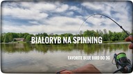 Białoryb na spinning // Favorite blue bird do 3g // maj 2023