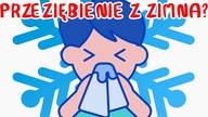 Czy od ZIMNA SIĘ CHORUJE? | WIELKIE PYTANIA 