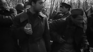 Lecą Żurawie (1957)