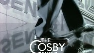 Bill Cosby Show S06E15 - Denise Kendall: Singles Counselor
