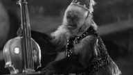 Syn King Konga - The Son of Kong (Horror, Komedia, Przygodowy, 1933) napisy pl