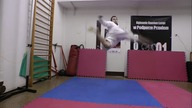 tricking: 540 roundkick