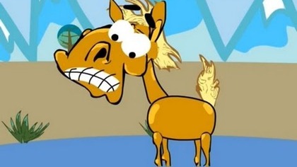 KOŃ RAFAŁ (HD) - Jeziorko, Pterodaktyl, Urwisko