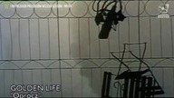 Golden Life - Oprócz (1992) oryginalny teledysk