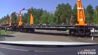 Niecodzienna sytuacja na przejeździe kolejowym