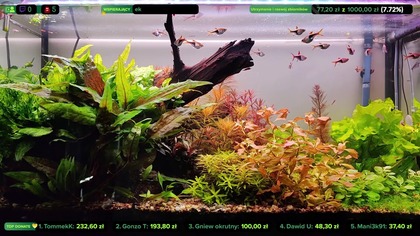 AkwaLive porządki [LIVE #158 ]