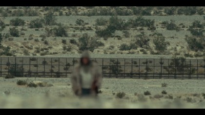 Coyote 1