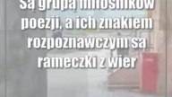 Punkt wymiany poezji