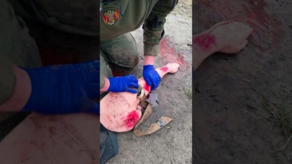 Staza Taktyczna RMT M2 2. 5 | Trening na ONA Trauma Arm | Ratownik Pola Walki | TCCC #RMTM2 #RMT25