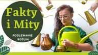 Podlewanie ROŚLIN domowych  FAKTY I MITY  Vlog