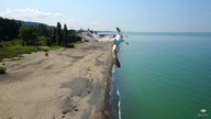 Bliskie spotkanie drona z mewą