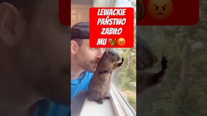 Lewackie państwo zabiło mu 