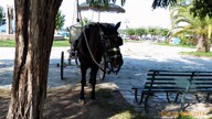 Kerkyra -  Korfu