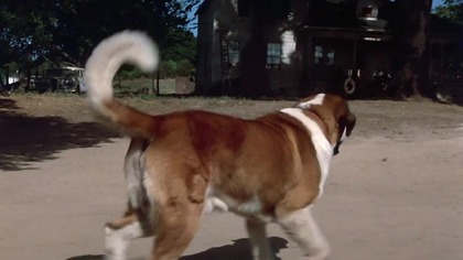Cujo (1983) [Lektor PL]