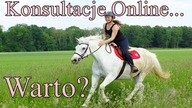OMG brałam udział w KONSULTACJACH ONLINE!!!!
