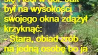 Dowcip dnia! #12# #dowcipdnia #dowcip #kawały