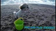 My Cute Little Pet Puppy - play with kids together