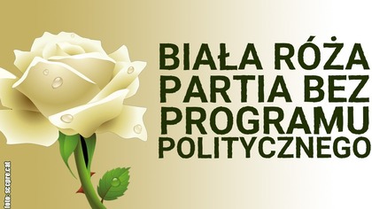 Angelika Jarosławska założyła partię Biała Róża!