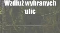Lublin: Nowe latarnie rozświetlą miejskie ulice