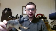 Psy w historii człowieka - dr Piotr Napierała