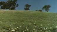 19.  Domek Na Prerii S02E19 (PL)