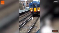Oto dlaczego pociągi się czasami spóźniają