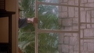Krwawy sport - Bloodsport.  1988.  720p.  PL