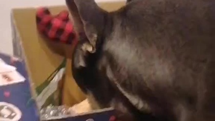 50968195-8609-4d30-b897-5a39d24fa91a