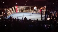 Roy Jones Jr KO w pierwszej rundzie