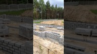 Rośnie 