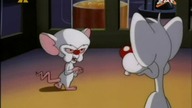 Pinky i Mózg S03E13 - Tańczące klony/Calvin Mózg
