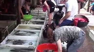 Na chińskim targowisku - spos&oacute;b na rybę