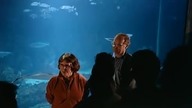 W POSZUKIWANIU REKINÓW FILM PRZYRODNICZY DOKUMENTALNY