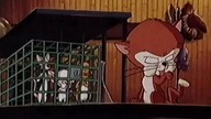 Pinky i M&oacute;zg 15 (Dubbing PL)