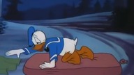 Kaczor Donald - Dzikie otwarte przeszczenie