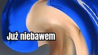 Jaki to styl muzyczny ?