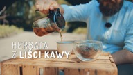 Herbata z liści kawy | Czajnikowy.pl