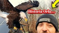 1890.  Historia Orła A Ty Jesteś Orłem Czy Może.. ?
