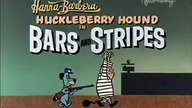 Pies Huckleberry 55 Kraty i paski