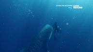 WPOLSCEPL - 24-07-2023 - Sponsor + LOVENATURE - Zapowiedzi, Identy, Spoty
