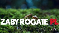 Intro dla zaprzyjaźnionego kanału Żaby Rogate PL
