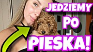 MÓJ NOWY ZWIERZAK!