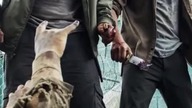 Za czym będziesz tęsknił podczas zombie apokalipsy? #part3 #shorts