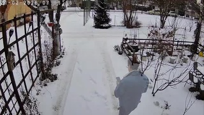 Kury i kanarki * to samo inaczej * za miesiąc WIOSNA