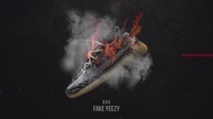 B.R.O - Fake Yeezy | Cel Izy