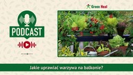 Jakie uprawiać warzywa na balkonie? [PODCAST]
