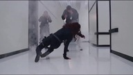 Scarlett Johansson (Black Widow) Fight Scenes: Iron Man, The Avengers, CA: The Winter Soldier