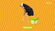 Music Box Polska - Nowy dżingiel reklamowy (01. 11. 2023)
