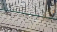 Poznań: Kierowca autobusu jechał po torowisku